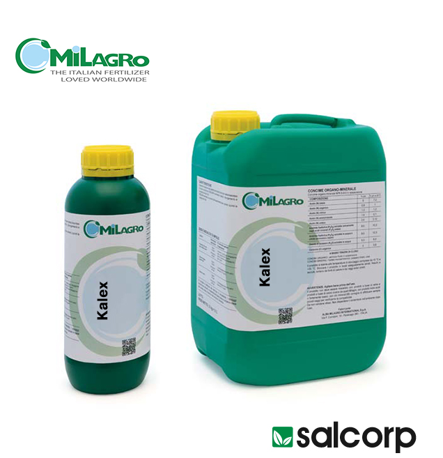 Calcium-Forte SC 200 ml